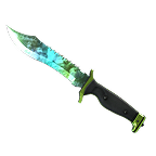 Buy Skeleton Knife CS2 (CS:GO) skins at great prices