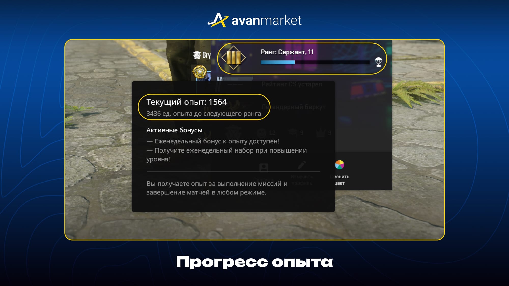 Как получить медаль за службу в КС 2